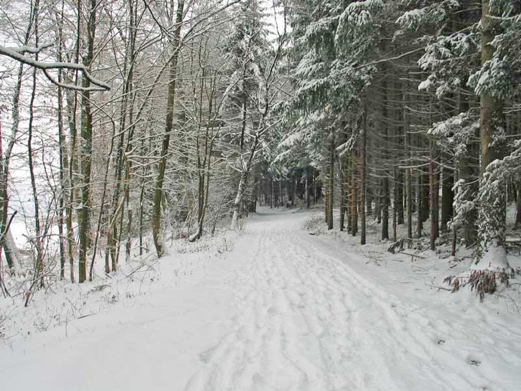 B&B Hersberg ภายนอก รูปภาพ
